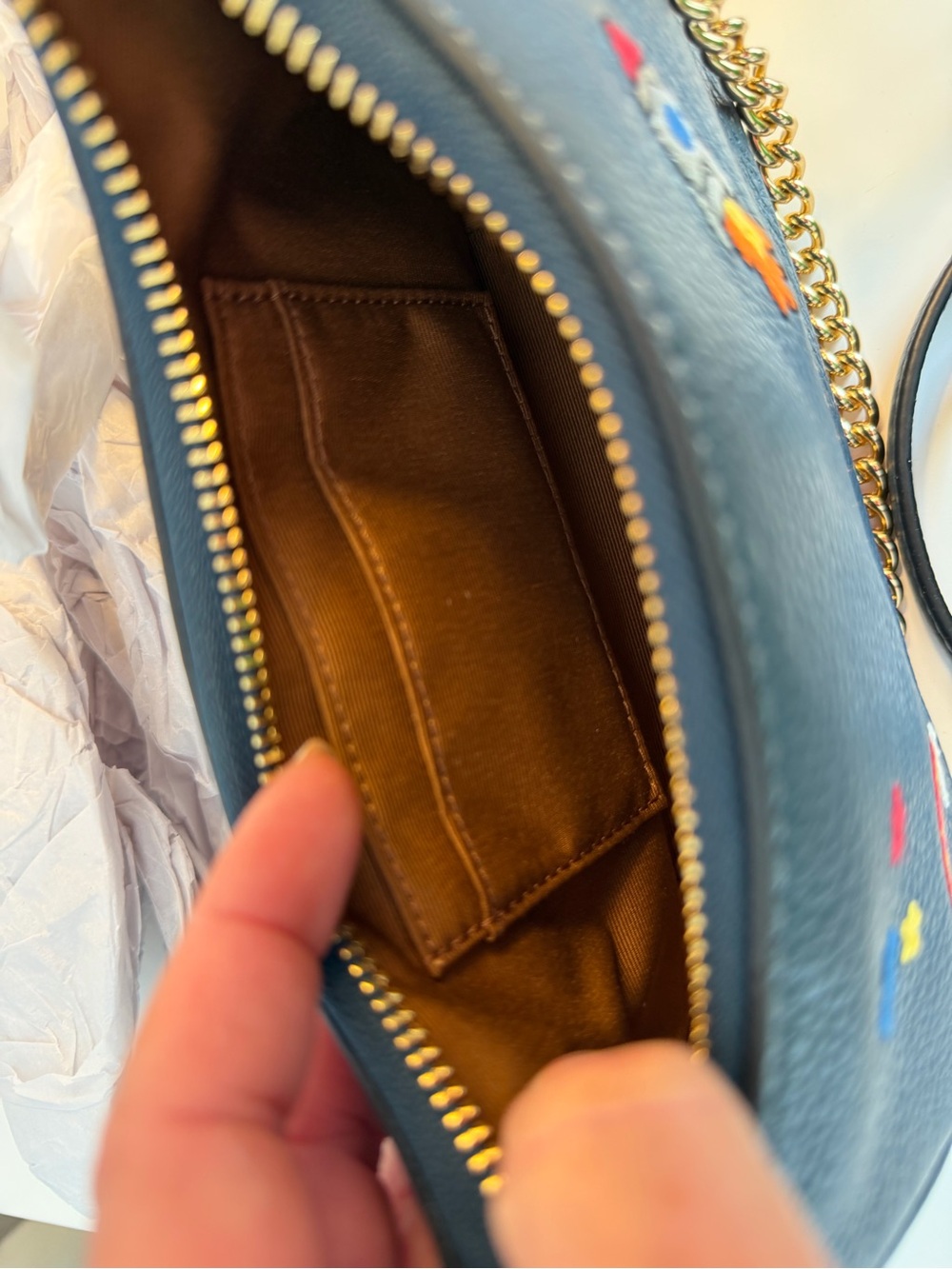 COACH Teri Mini Crossbody Bag With Embroidery - Picture 16 of 17